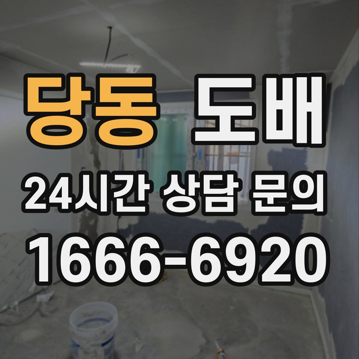 당동 도배