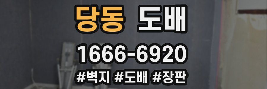 당동 도배
