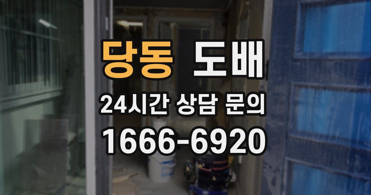 당동 도배
