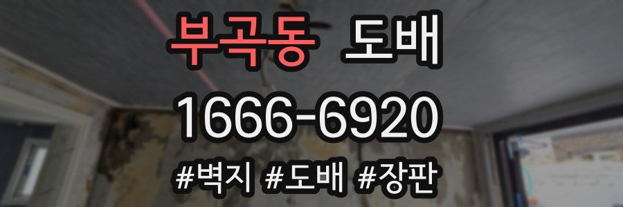 부곡동 도배