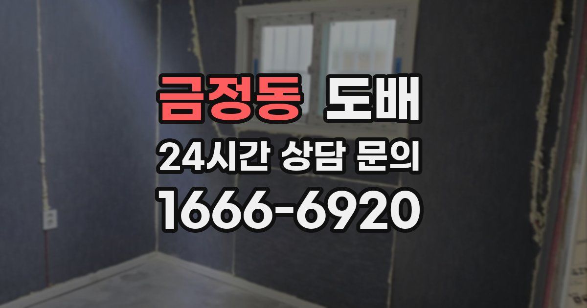 금정동 도배
