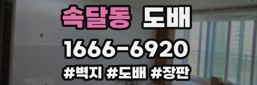 속달동 도배