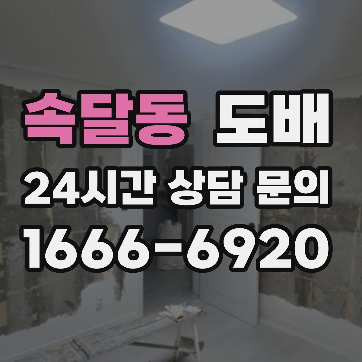 속달동 도배
