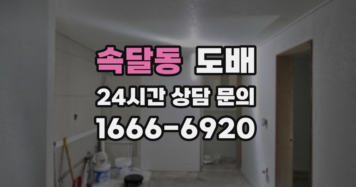 속달동 도배