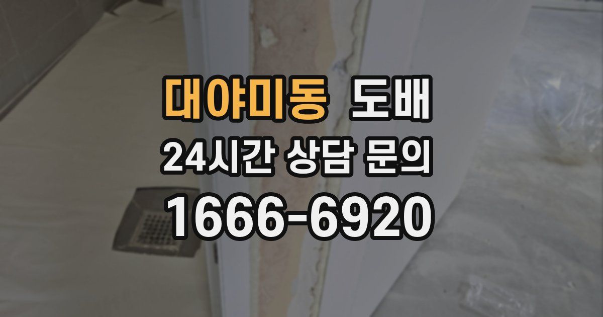 대야미동 도배