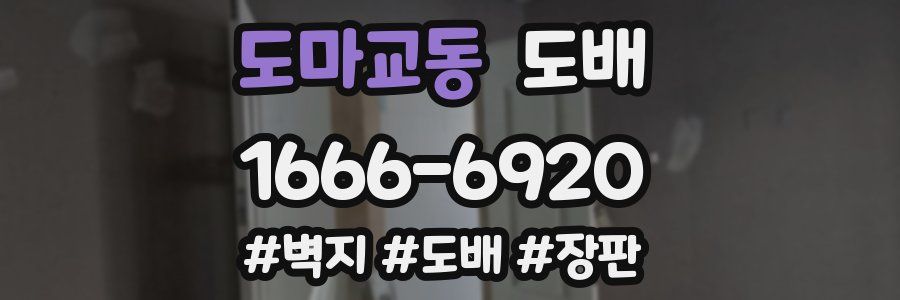 도마교동 도배