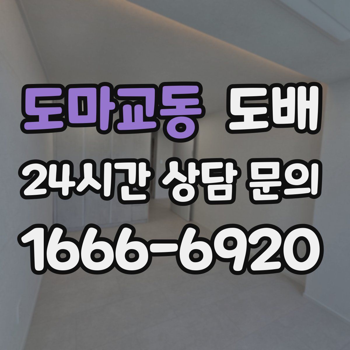 도마교동 도배
