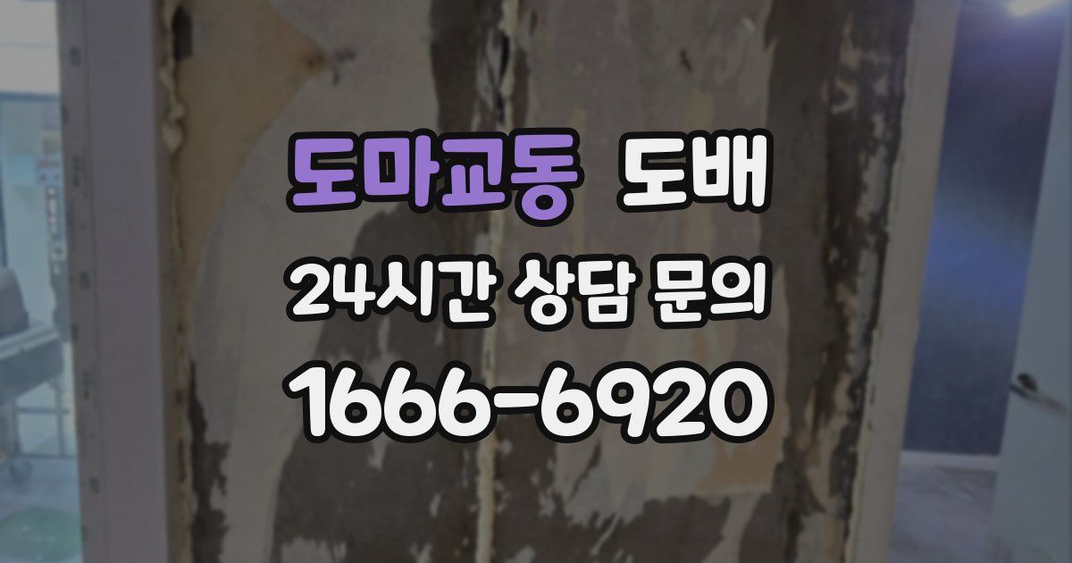 도마교동 도배