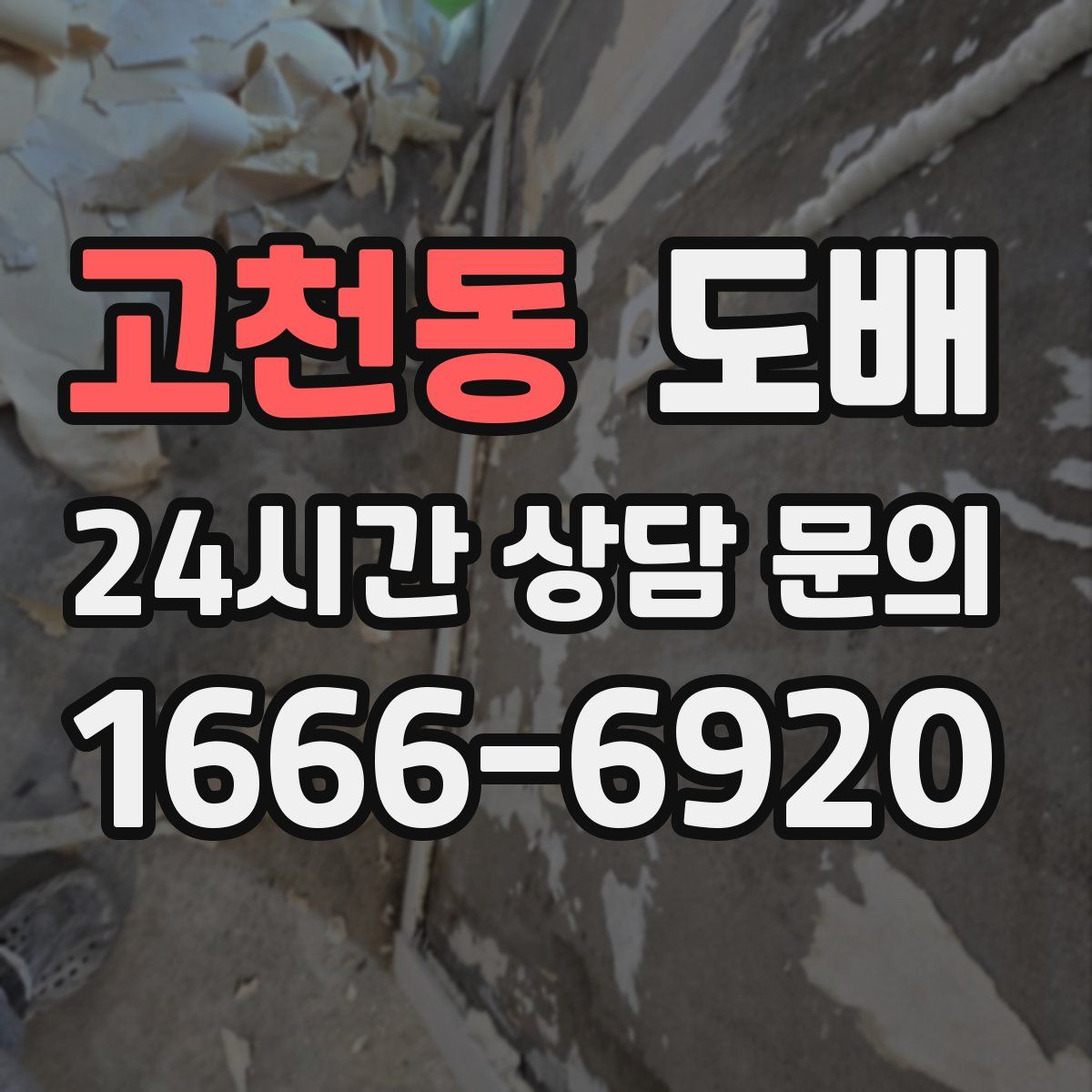 고천동 도배