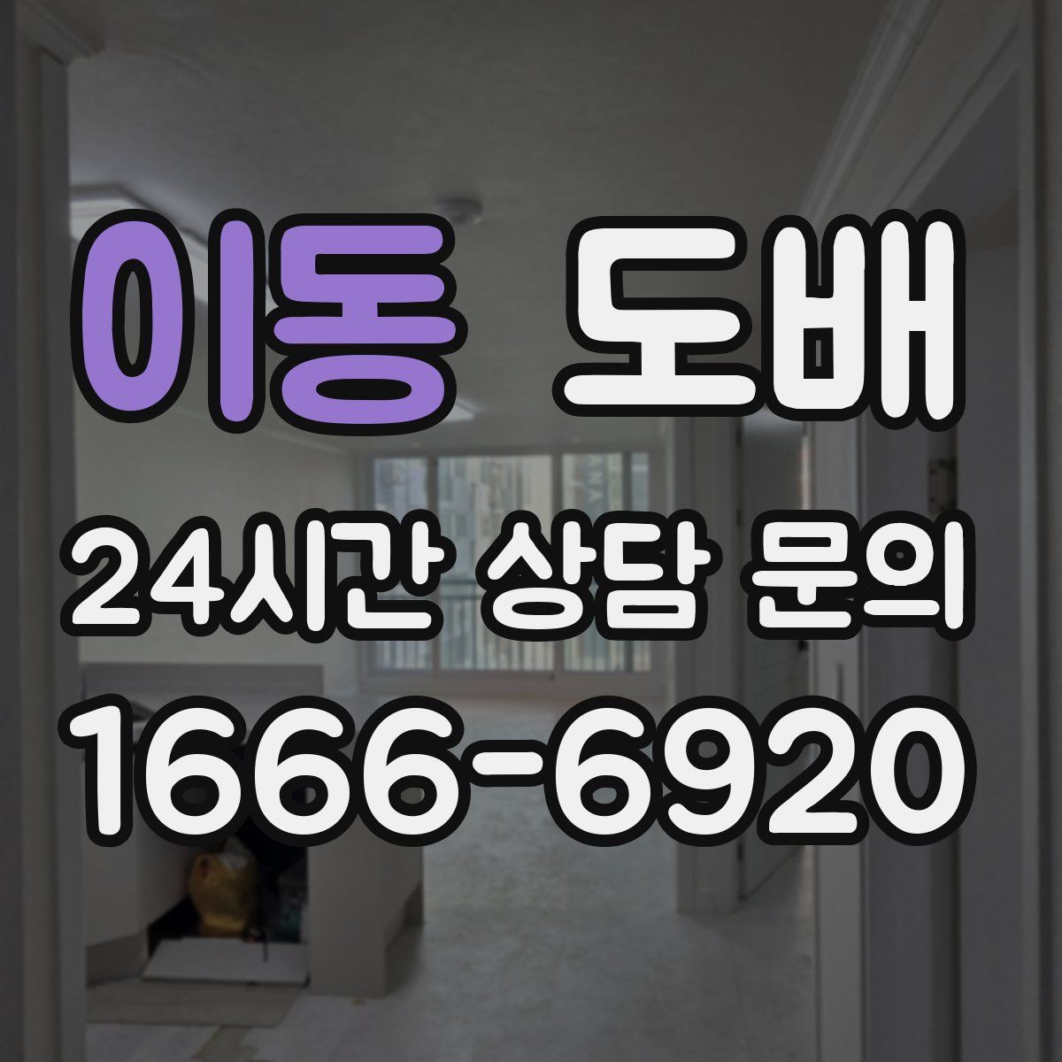 이동 도배