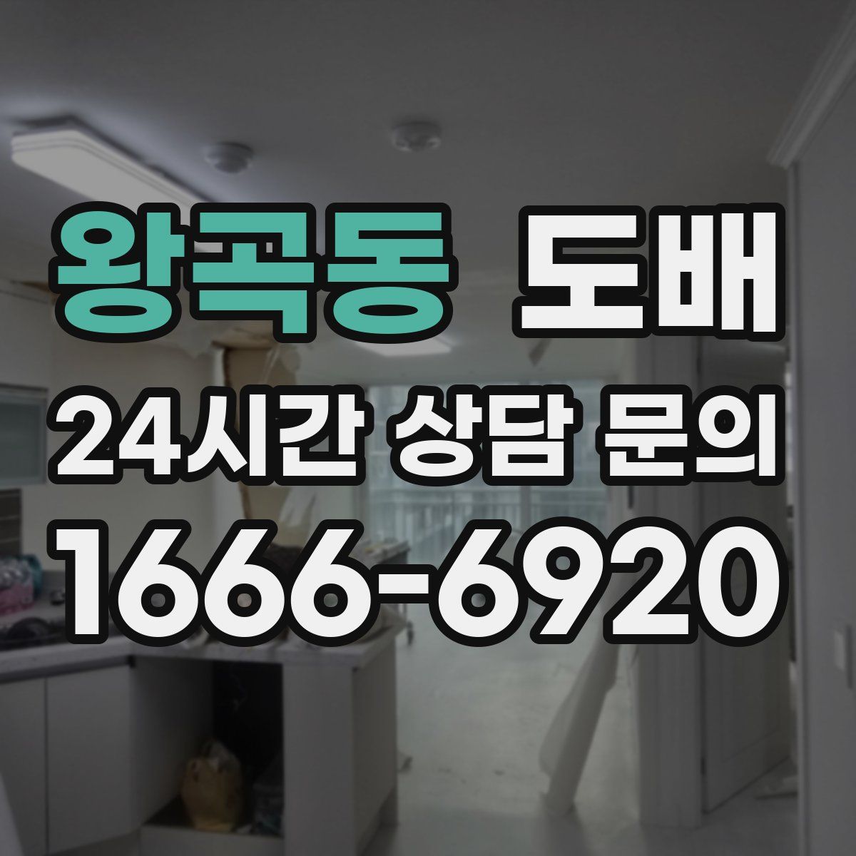 왕곡동 도배