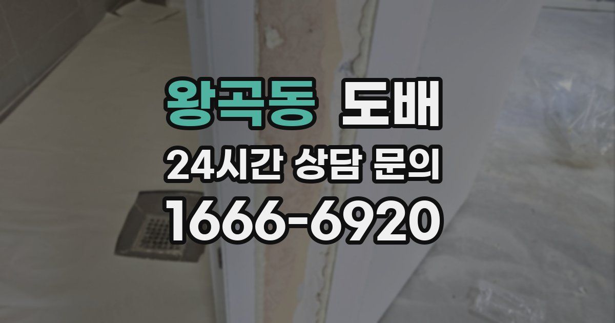왕곡동 도배