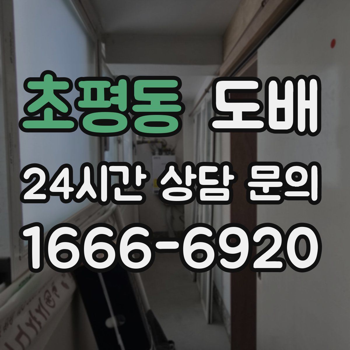 초평동 도배