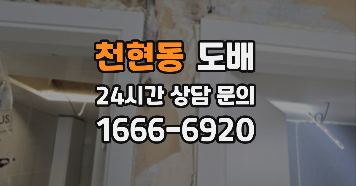 천현동 도배