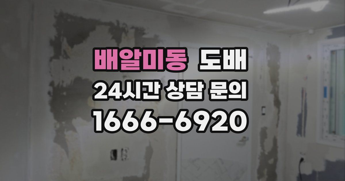 배알미동 도배