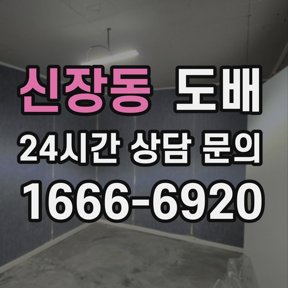 신장동 도배