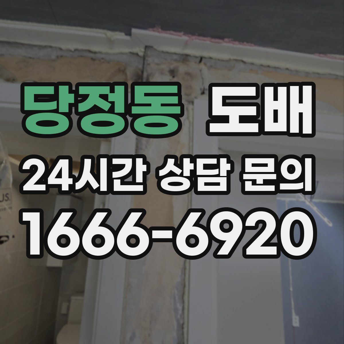 당정동 도배