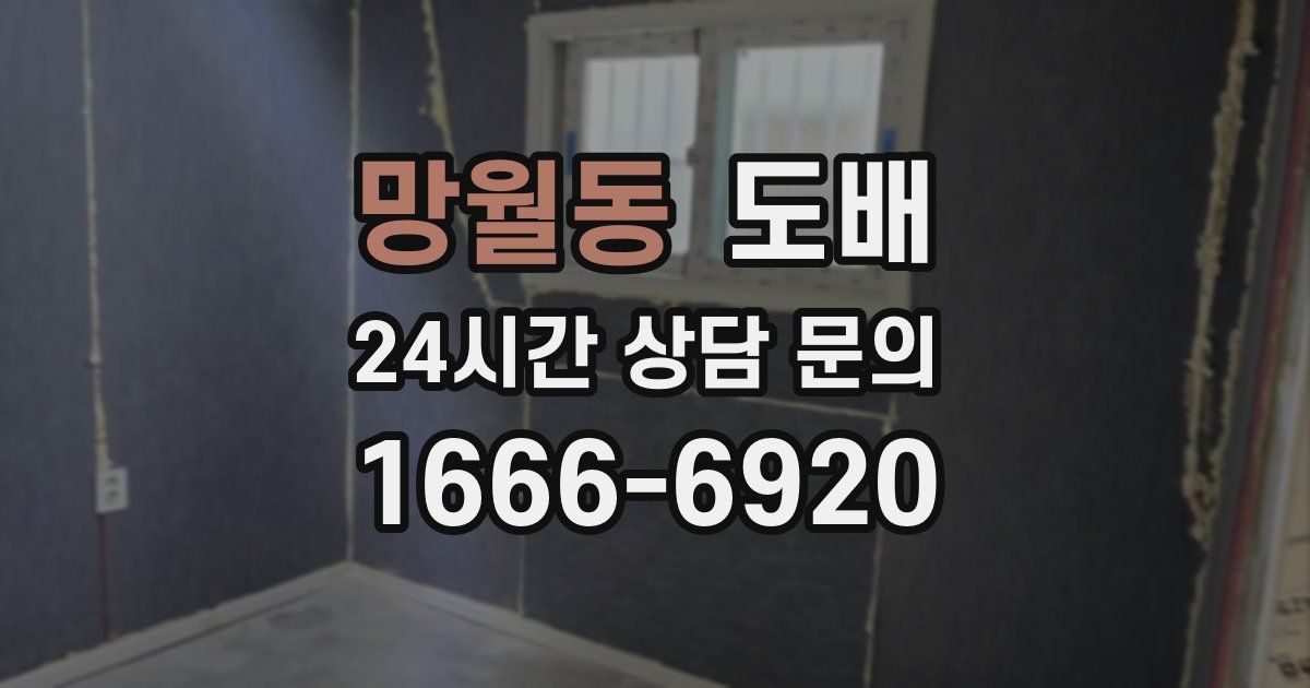망월동 도배