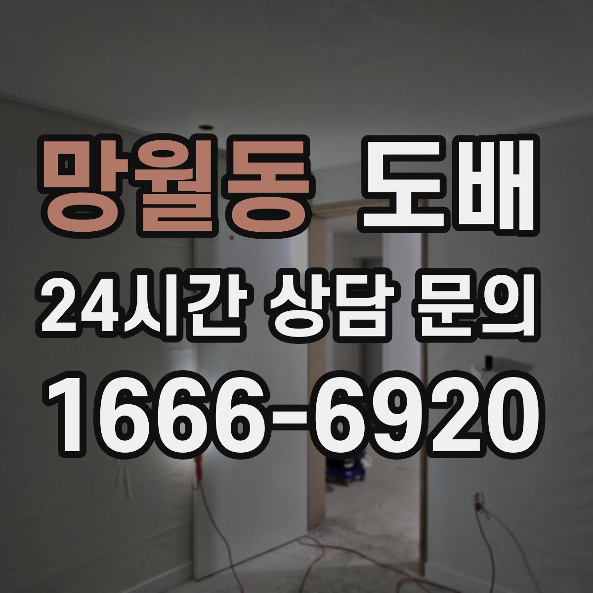망월동 도배