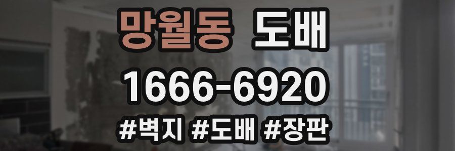 망월동 도배