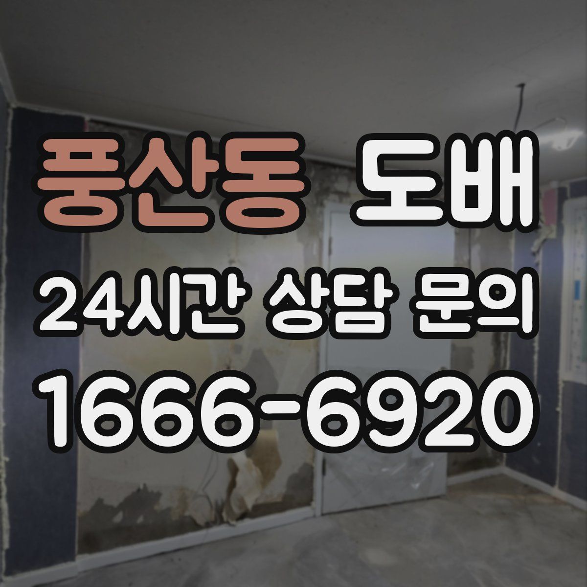풍산동 도배