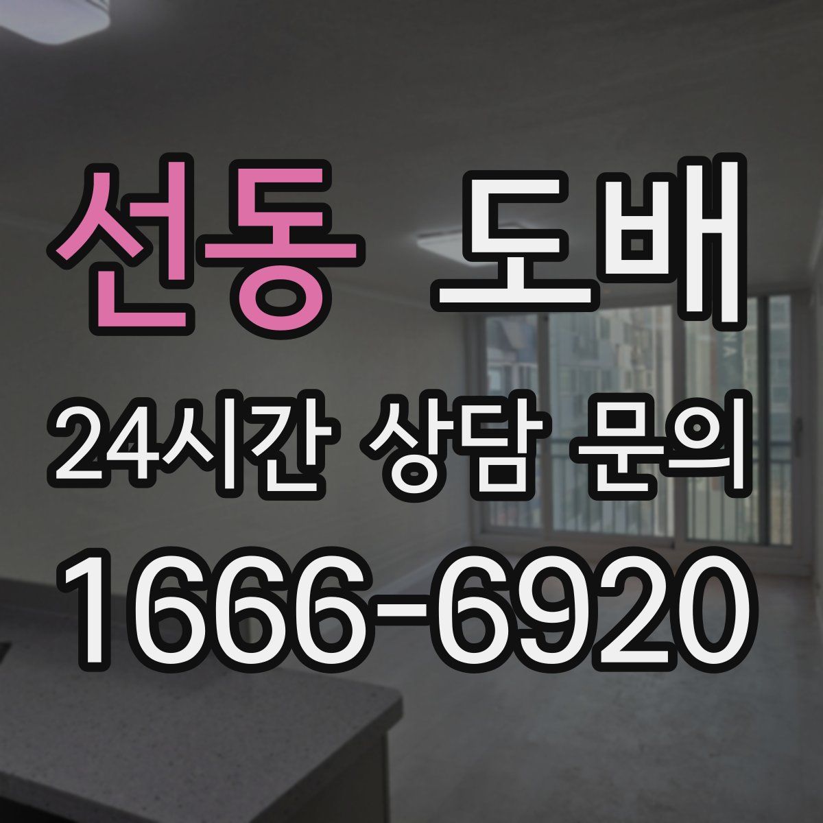 선동 도배