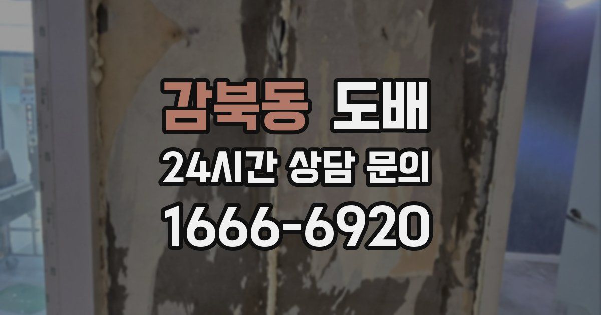 감북동 도배