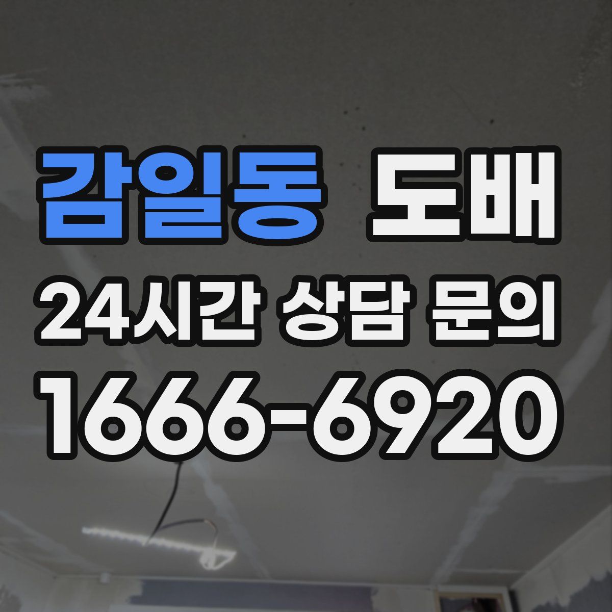 감일동 도배