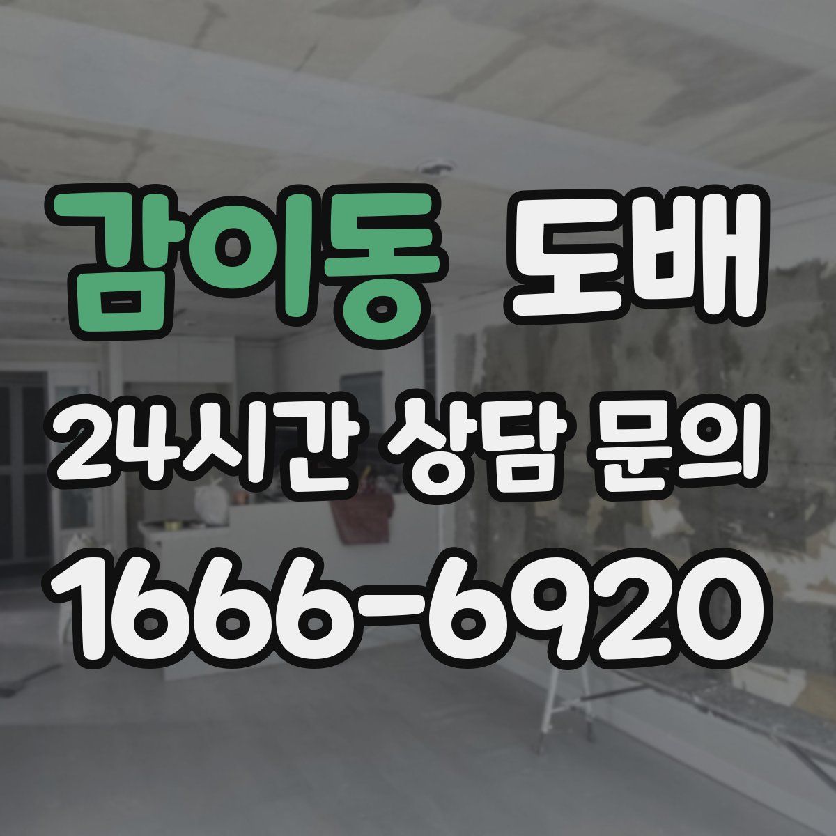 감이동 도배