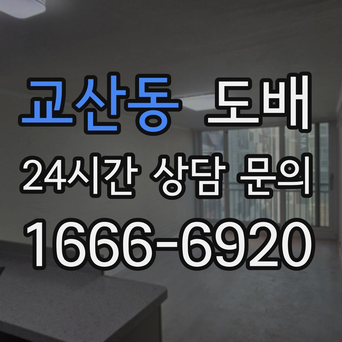 교산동 도배