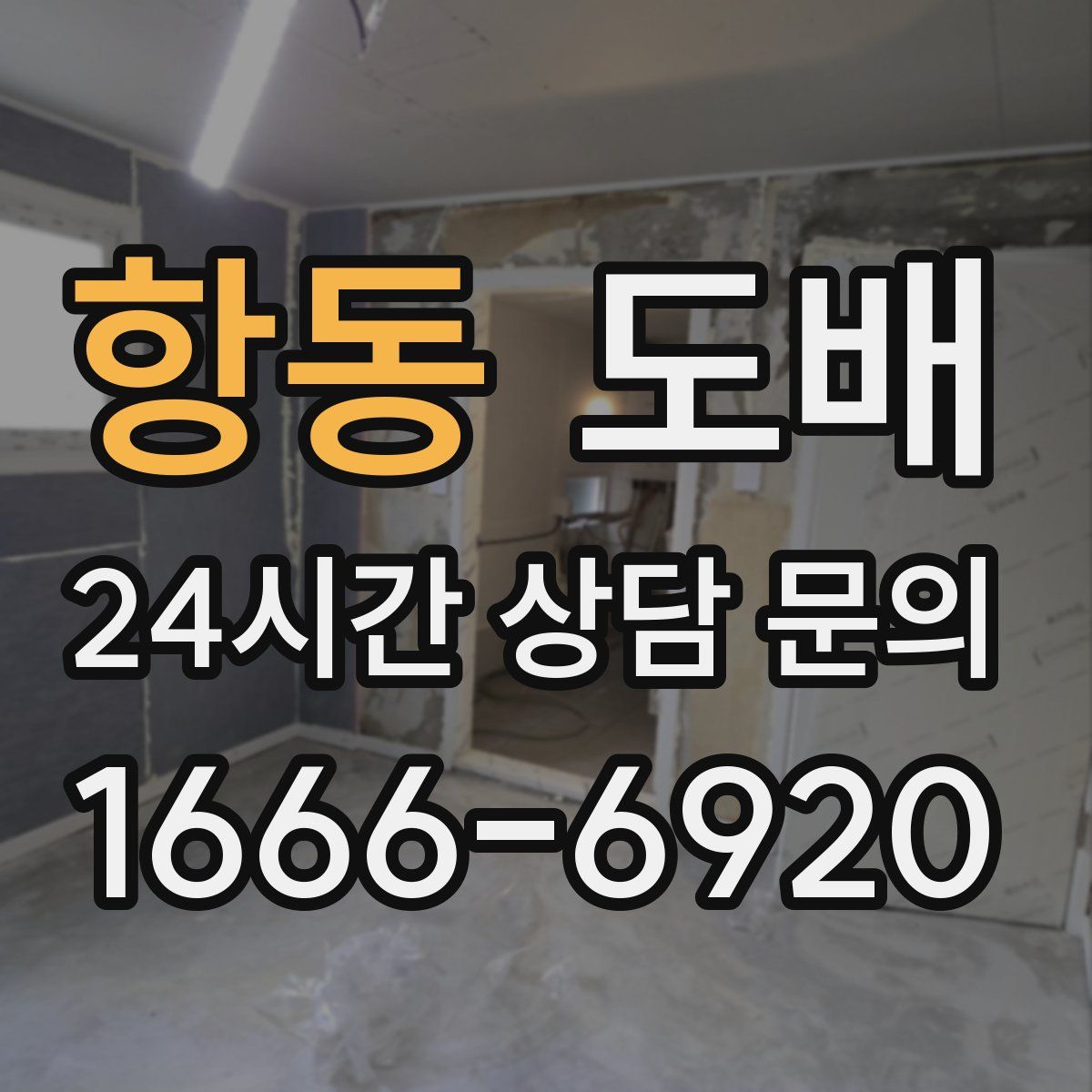 항동 도배
