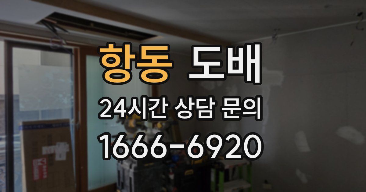 항동 도배
