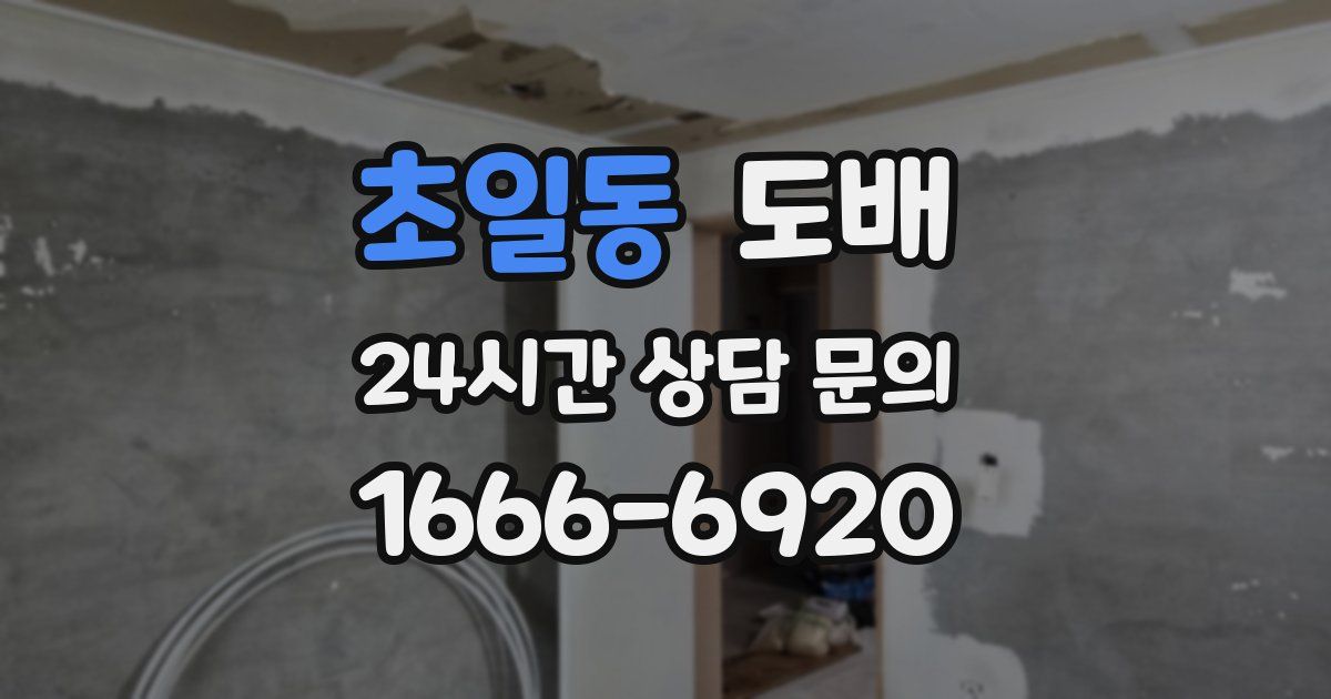 초일동 도배