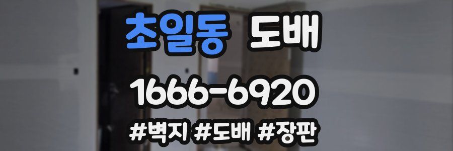 초일동 도배