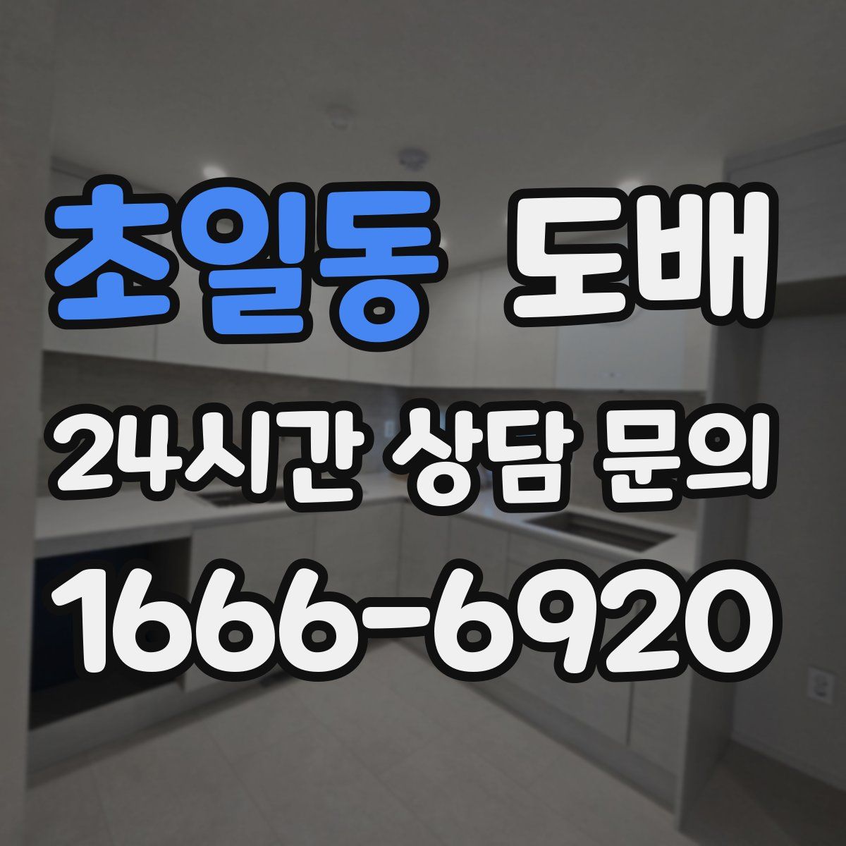 초일동 도배