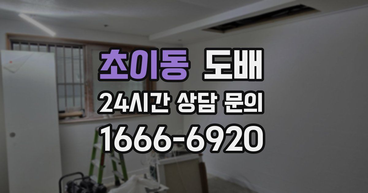 초이동 도배