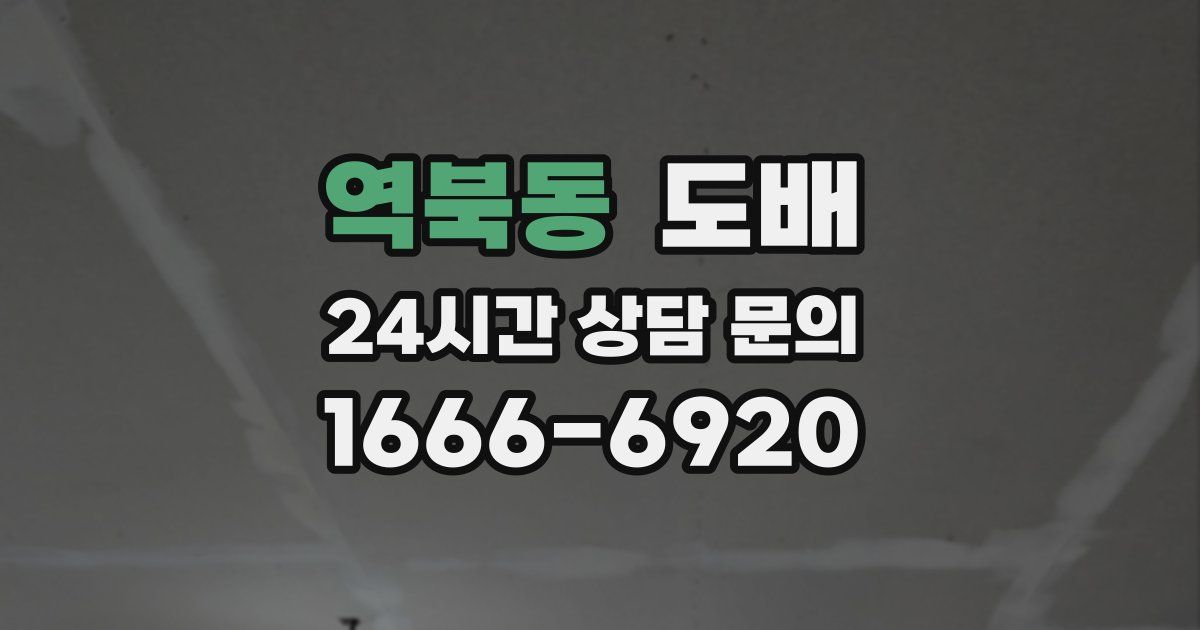 역북동 도배