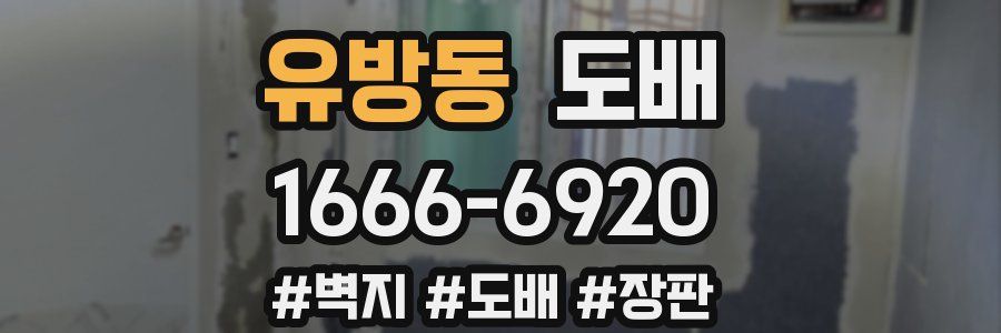 유방동 도배