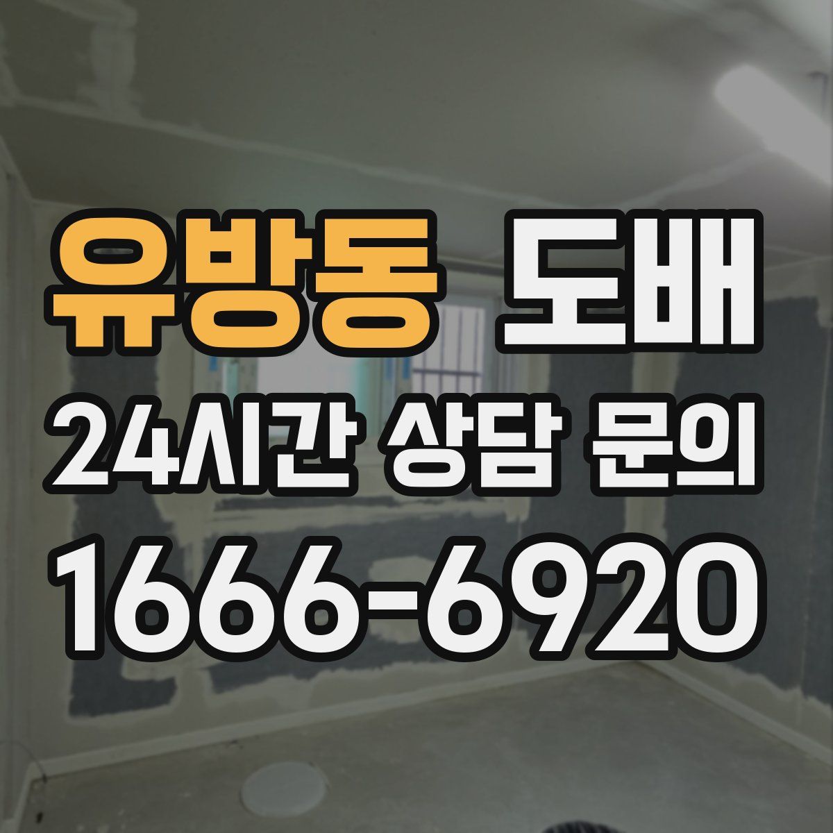 유방동 도배