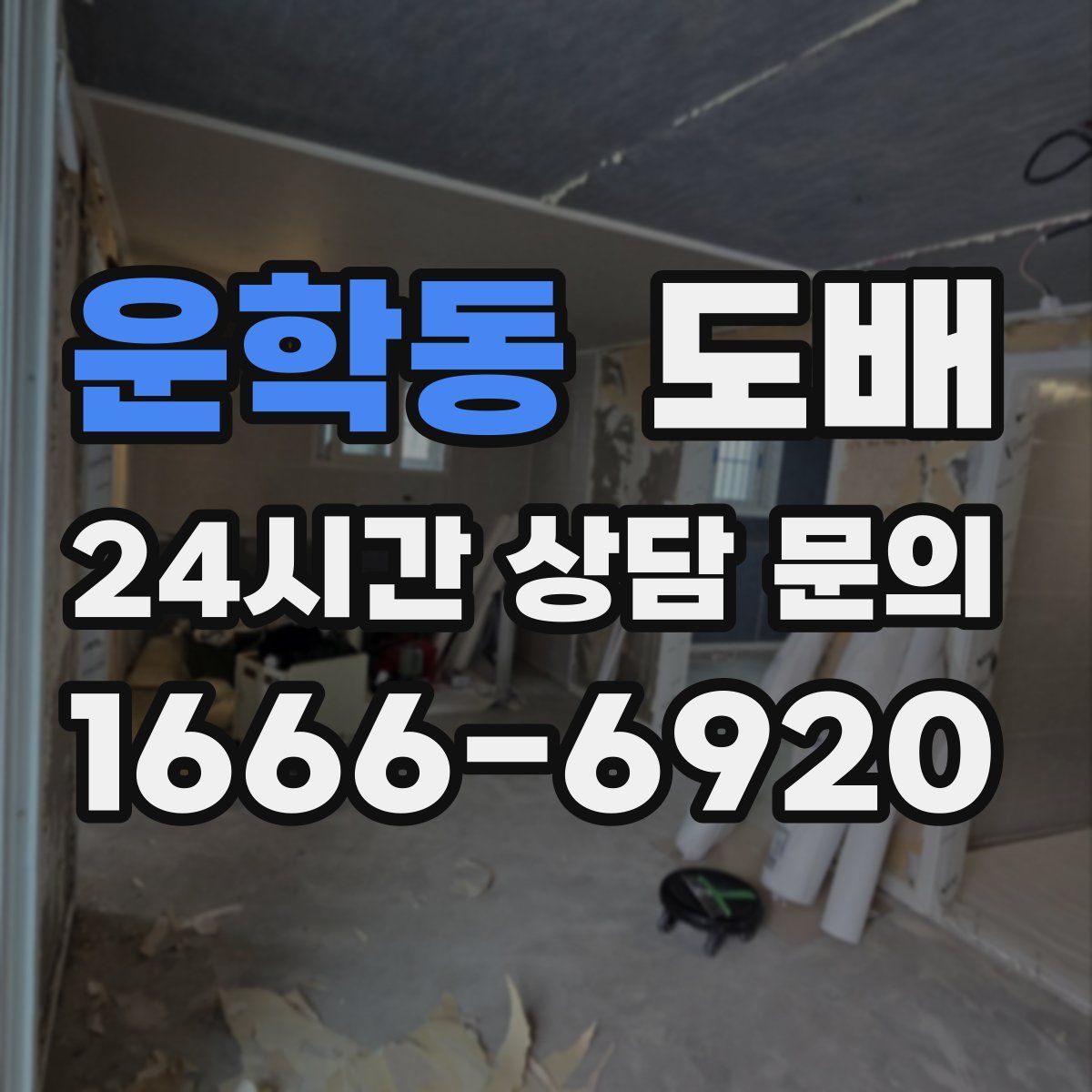 운학동 도배