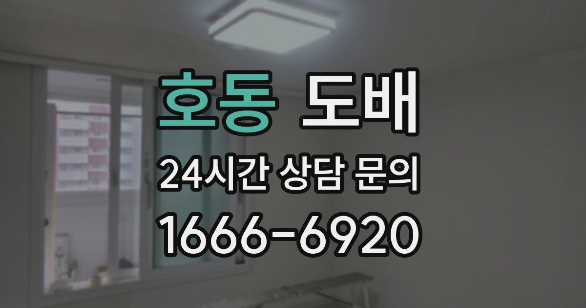 호동 도배