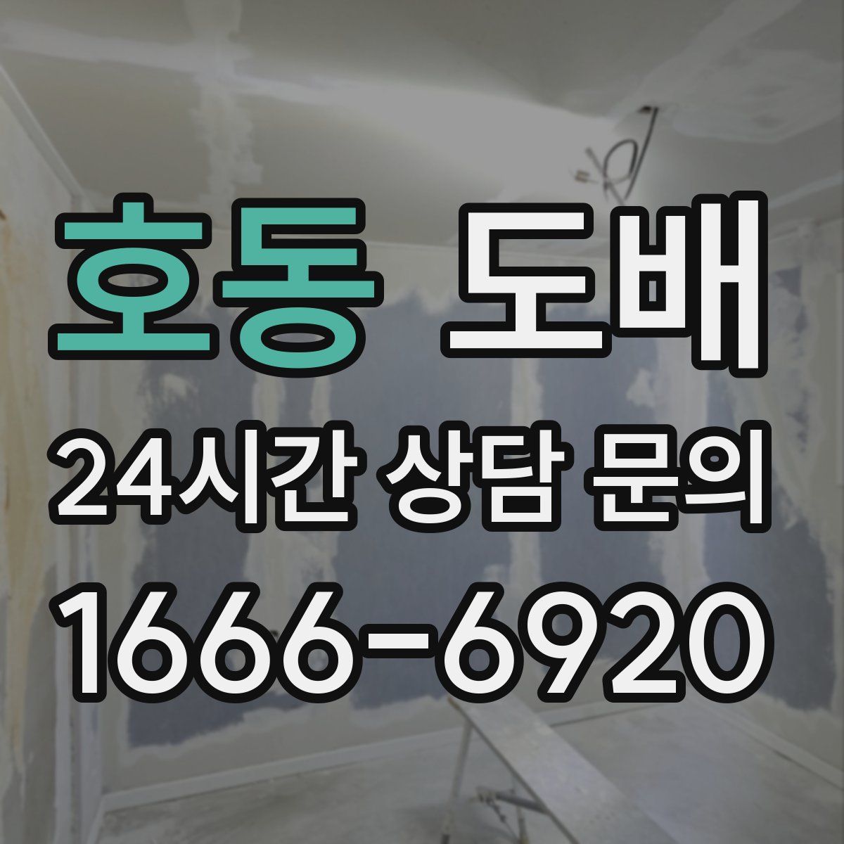 호동 도배