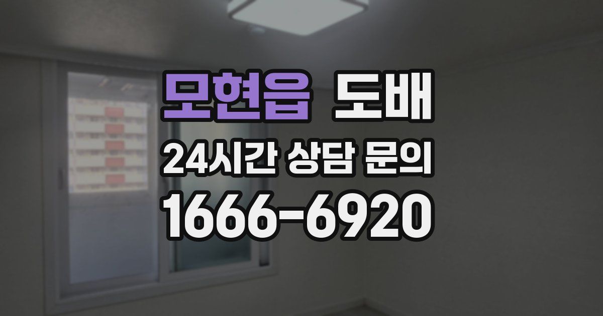 모현읍 도배