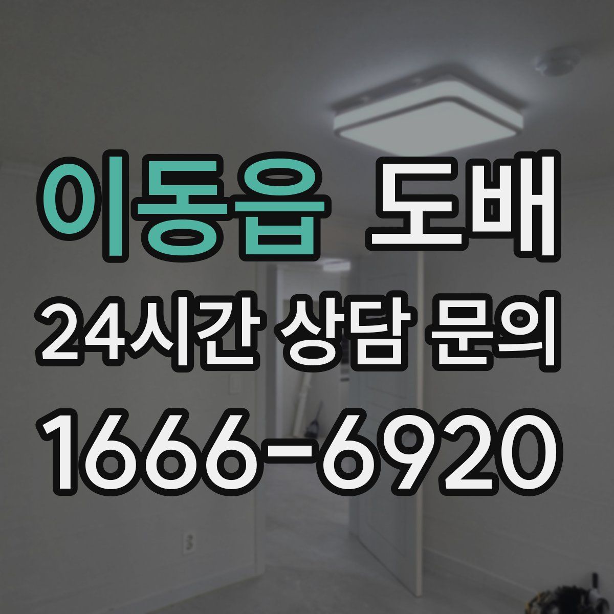 이동읍 도배
