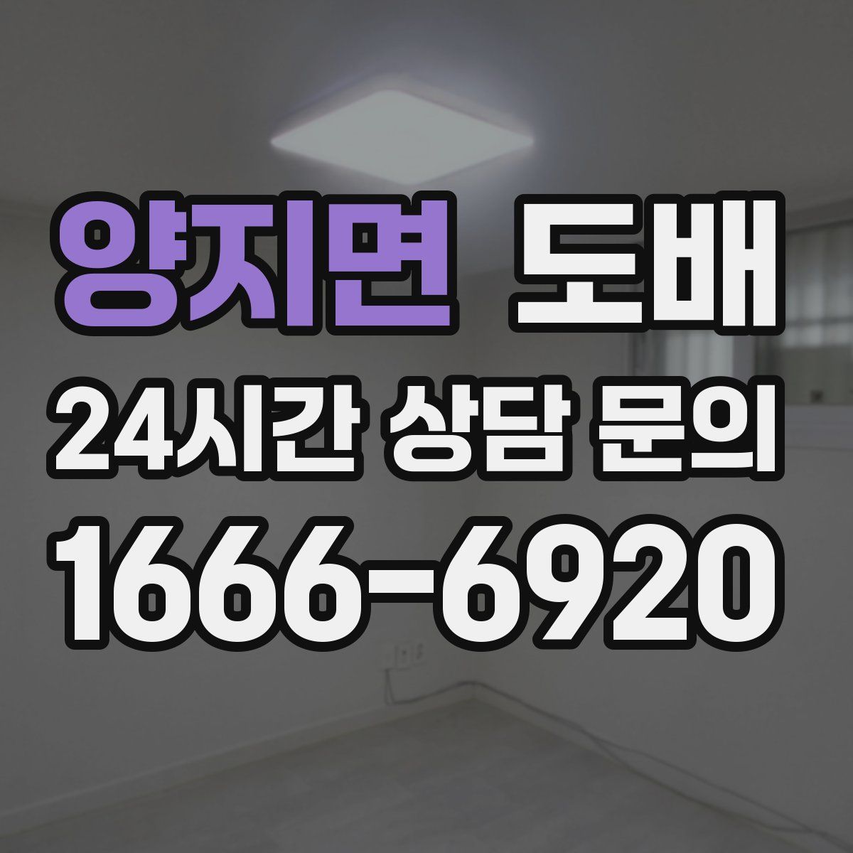 양지면 도배