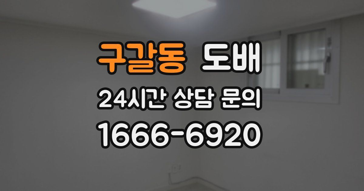 구갈동 도배