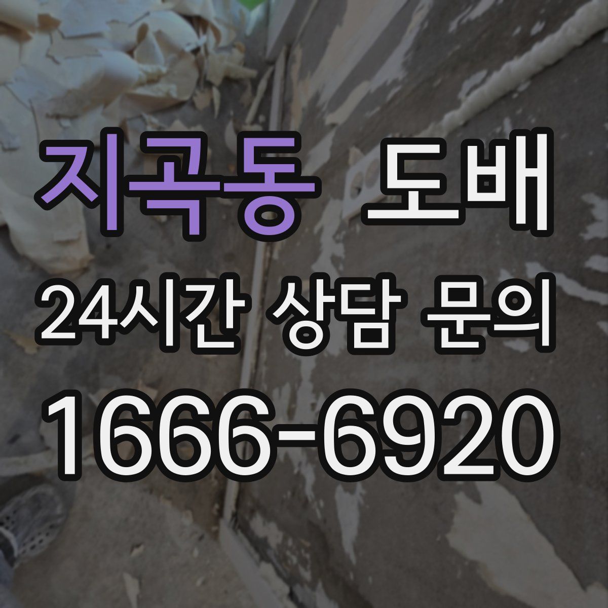 지곡동 도배