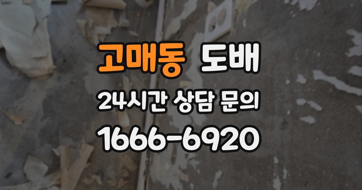 고매동 도배
