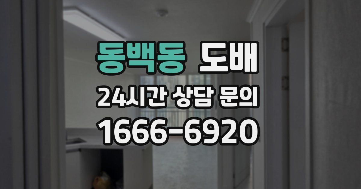 동백동 도배