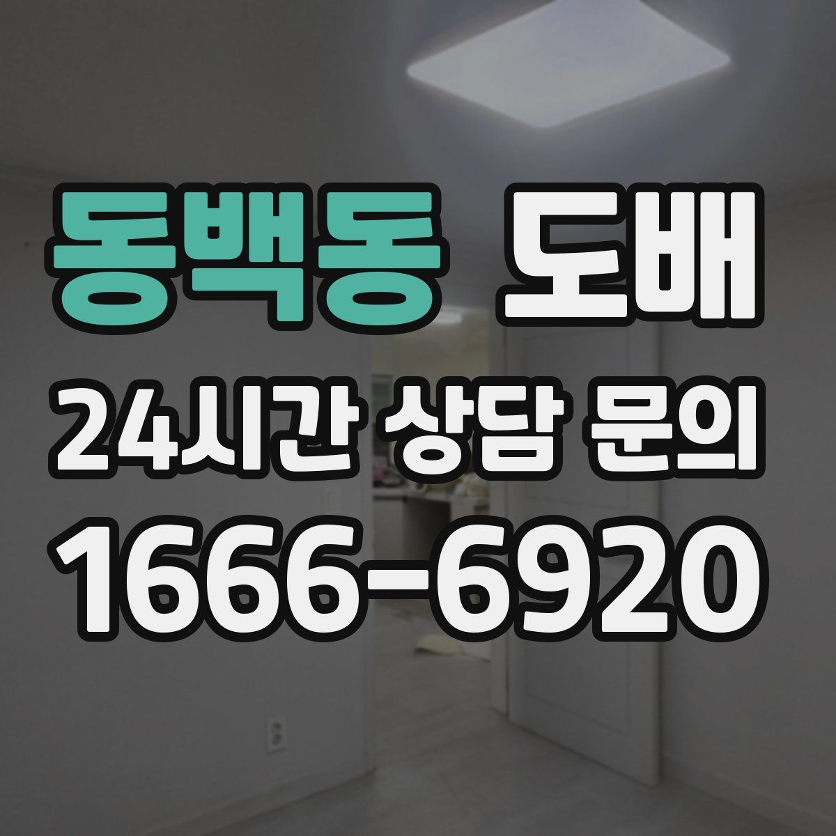 동백동 도배